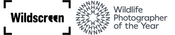 crowdcomms-ltd logo